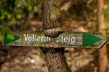 Image showing Wooden sign in the tree trunk