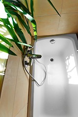 Image showing Clean bathtube in summer light