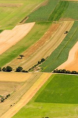 Image showing Green fields aerial view before harvest