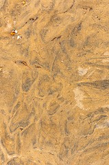 Image showing Closeup of sand texture