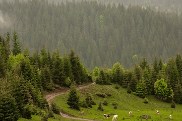 Image showing Beautiful landscape at the mountains