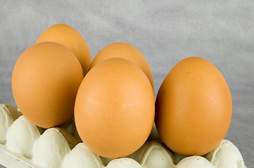 Image showing eggs