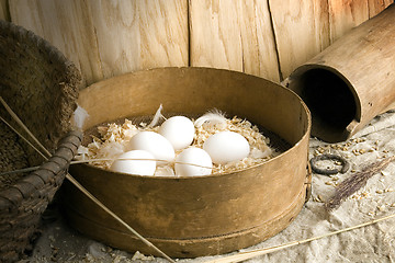 Image showing eggs