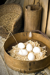 Image showing eggs