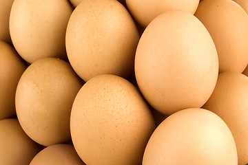 Image showing It is eggs