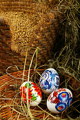 Image showing The painted eggs 