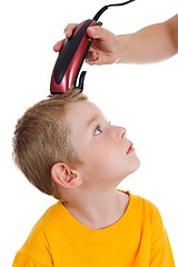 Image showing Young boy getting haircut