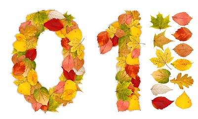 Image showing Numbers 0 and 1 made of autumn leaves