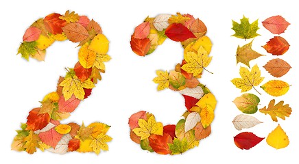 Image showing Numbers 2 and 3 made of autumn leaves