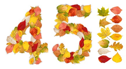 Image showing Numbers 4 and 5 made of autumn leaves