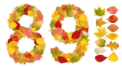 Image showing Numbers 8 and 9 made of autumn leaves