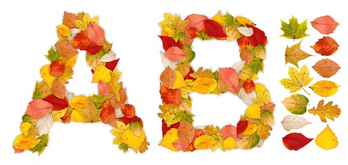 Image showing Characters A and B made of autumn leaves