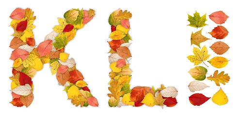 Image showing Characters K and L made of autumn leaves