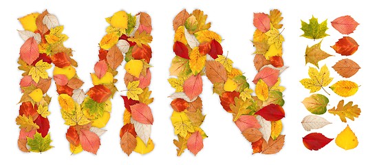 Image showing Characters M and N made of autumn leaves
