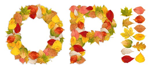 Image showing Characters O and P made of autumn leaves
