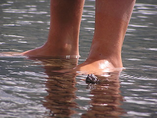 Image showing feet in water