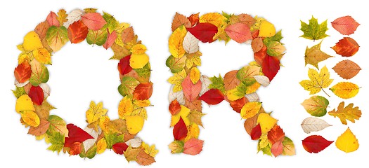 Image showing Characters Q and R made of autumn leaves