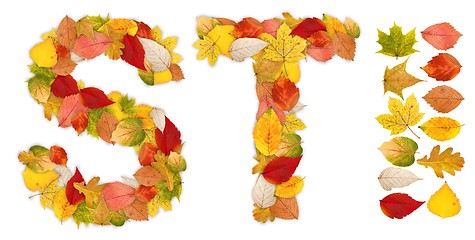 Image showing Characters S and T made of autumn leaves