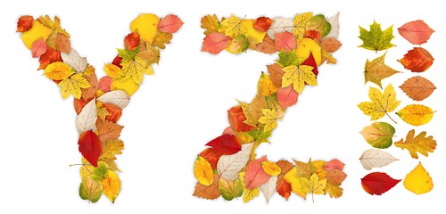 Image showing Characters Y and Z made of autumn leaves