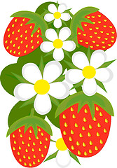 Image showing Strawberries background