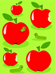 Image showing Apples and caterpillar