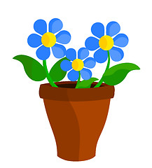 Image showing Blue flowers in pot