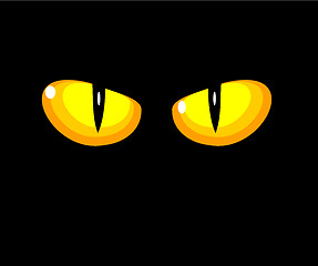 Image showing Cat yellow eyes