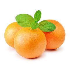 Image showing Mandarins