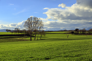 Image showing Catalan countryside, early spring. Spain