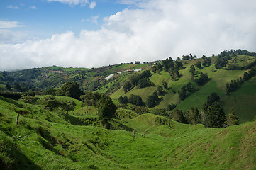 Image showing Green Costa Rica