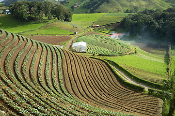 Image showing Agricultural terraces