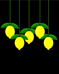 Image showing Lemon picture