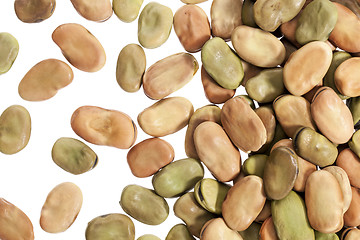 Image showing fava (broad) beans