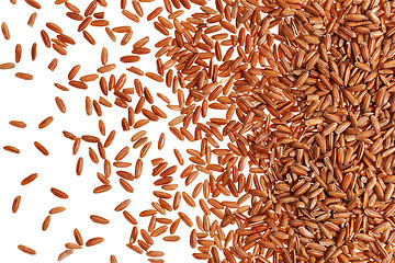 Image showing brown rice grain