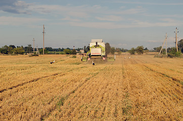 Image showing combine machine agriculture field stork bird 