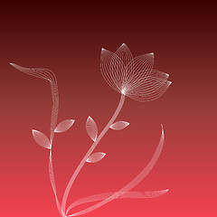 Image showing White flower on a red background