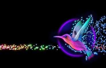 Image showing 3d render of colibri bird - hummingbird with stars