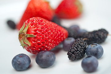 Image showing berries on white 