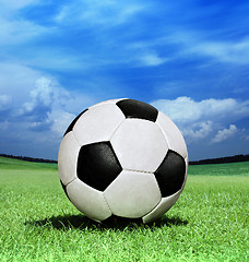 Image showing soccer ball on green grass