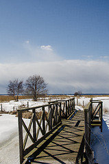 Image showing Wooden footbridge