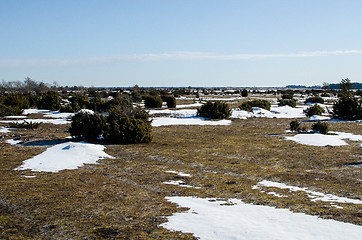 Image showing Snow mosaic