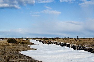 Image showing The last snow