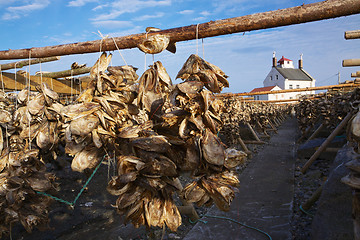 Image showing Stock fish