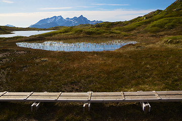 Image showing Swamps in norwegian mountains