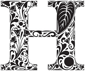 Image showing Floral H