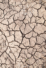 Image showing Dry land, dry scaly ground