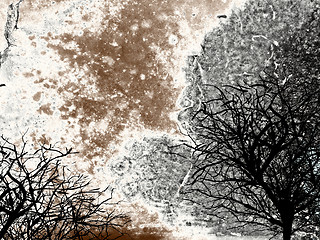 Image showing Abstract grunge background