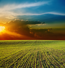 Image showing sunset over field