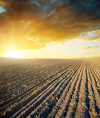 Image showing agricultural black field and sunset