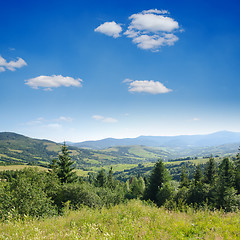 Image showing Beautiful green mountain landscape with trees in Carpathians